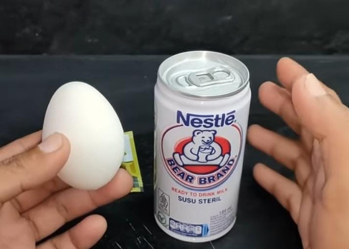 Inilah Deretan Manfaat Susu Beruang yang Harus Kamu Ketahui