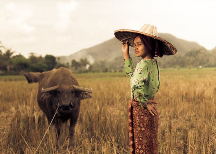 Bikin Pria Betah! Kabupaten Ini Punya Populasi Janda Tertinggi di Jawa Tengah