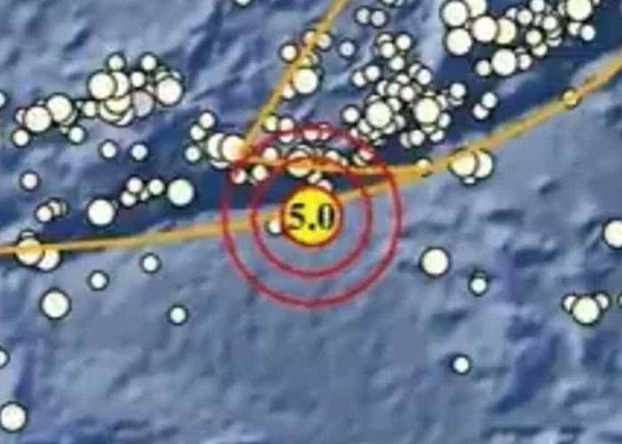 Gempa Magnitudo 5,5 Pagi Ini Guncang Supriori Papua, Tak Berpotensi Tsunami