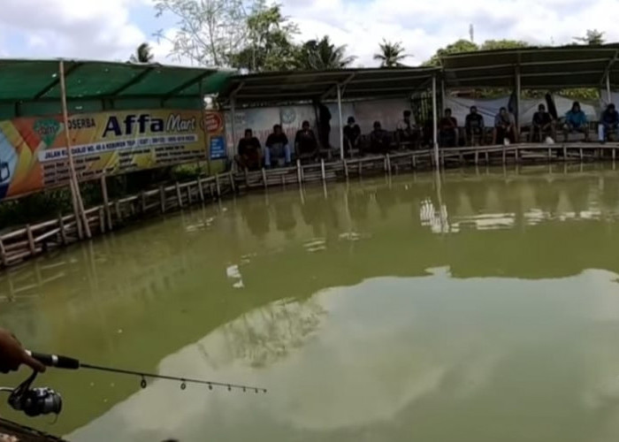 SIMAK! Berikut 3 Jenis Umpan Alami Untuk Mancing Ikan Lele