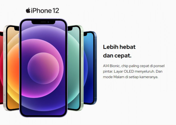 iPhone 12 Turun Drastis di iBox, Berikut Update Harga Terbaru