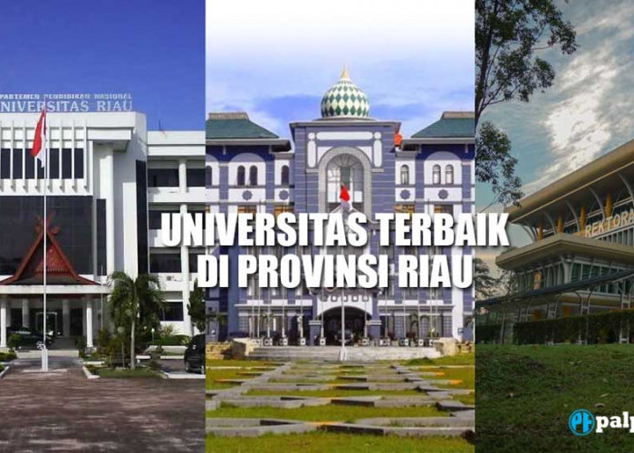 10 Universitas Terbaik di Provinsi Riau versi UniRank 2023, Ada UNRI, UIN Suska, UIR Hingga UPP