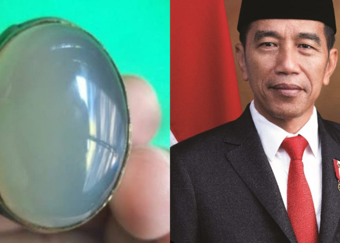 Terungkap, Presiden Jokowi Punya Koleksi Batu Cincin yang berkhasiat, Jenisnya Ini!