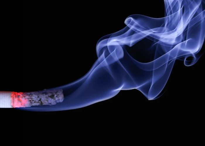 10 Bahaya Rokok Bagi Kesehatan, Sebabkan Kanker dan Kerusakan Organ Tubuh