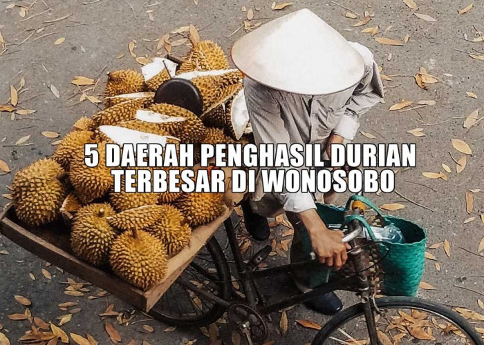 Pecinta Durian Merapat, Inilah 5 Daerah Penghasil Durian Terbesar di Wonosobo, Bukan Sukoharjo Juaranya, Tapi?