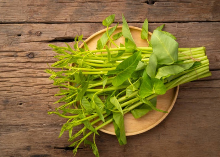 10 Manfaat Kangkung untuk Kesehatan Tubuh, Nomor 2 Meningkatkan Kesehatan Mata