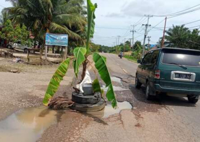 Tak Kunjung Diperbaiki, Warga Tanam Batang Pisang di Jalan Berlobang