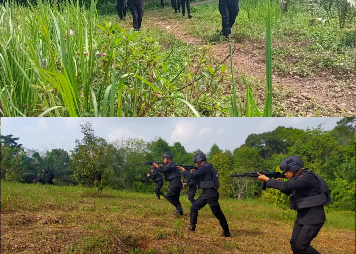 Personel Satuan Brimob Polda Sumsel Batalyon B Pelopor Gelar Latihan Jungle Warfare, Ini Tujuannya 
