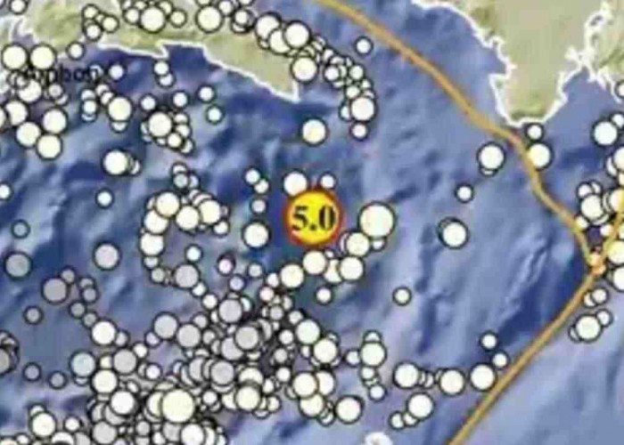 Gempa Magnitudo 5,0 Guncang Maluku Tenggara pada Kedalaman 12 Km, Tak Berpotensi Tsunami