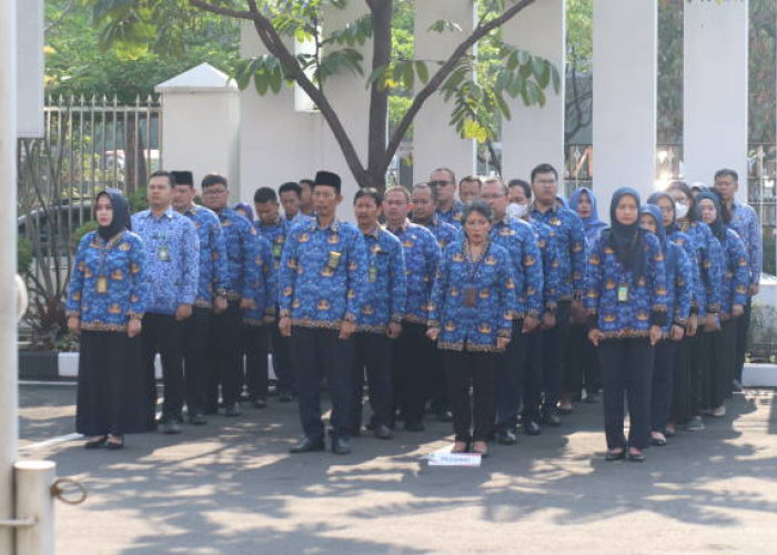 PPPK Paruh Waktu Harus Lewati Tahapan Ini untuk Diangkat Penuh Waktu