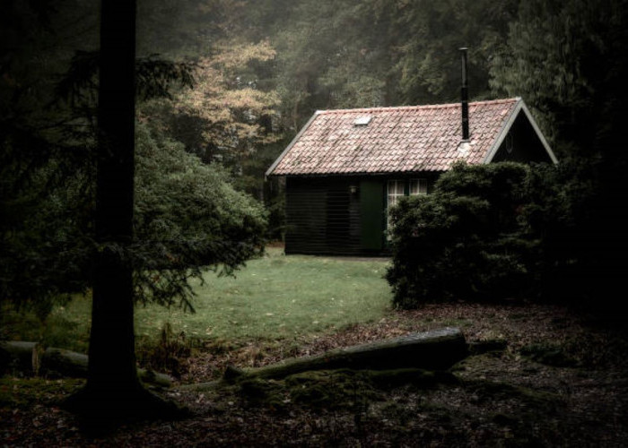 Rumah Ini Berdiri di Hutan Angker Alas Gumitir, Tak Ada Tetangga dan Listrik, Siapa Penghuninya?