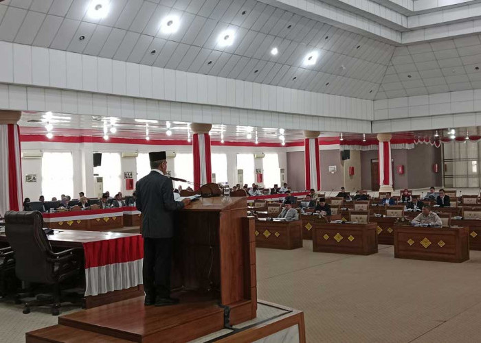 Dicecar Kritik dan Saran Terkait APBD 2025, Wabup Ardani Langsung Beri Jawaban Tegas di Depan DPRD Ogan Ilir