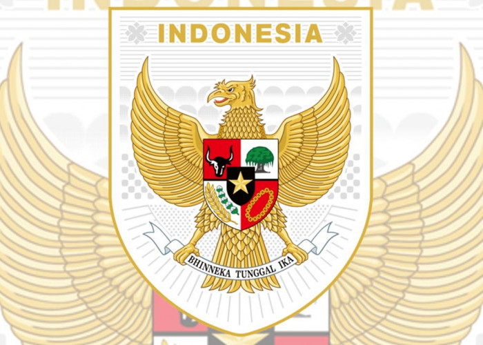 Colek PSSI! Winger Berdarah Indonesia-Maroko Kelahiran Belanda Ini Potensi Join Timnas