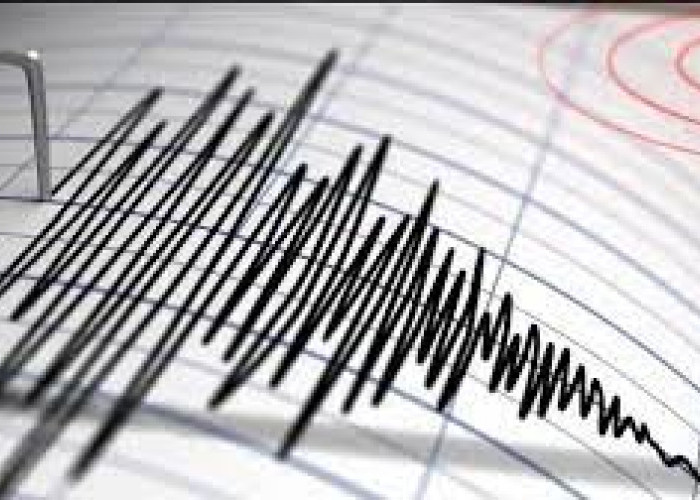  Gempa Bumi Magnitudo 6,2 Guncang Jember, Berpusat di Tengah Laut 