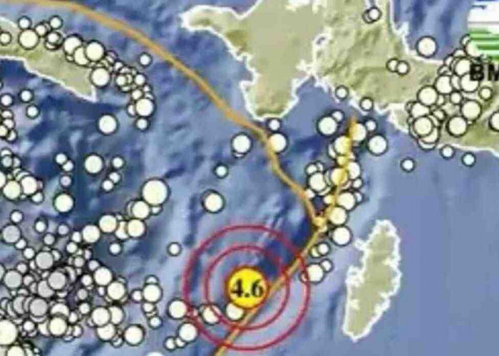 Update BMKG, Pagi Ini Gempa 4.6 M Guncang Maluku Tenggara
