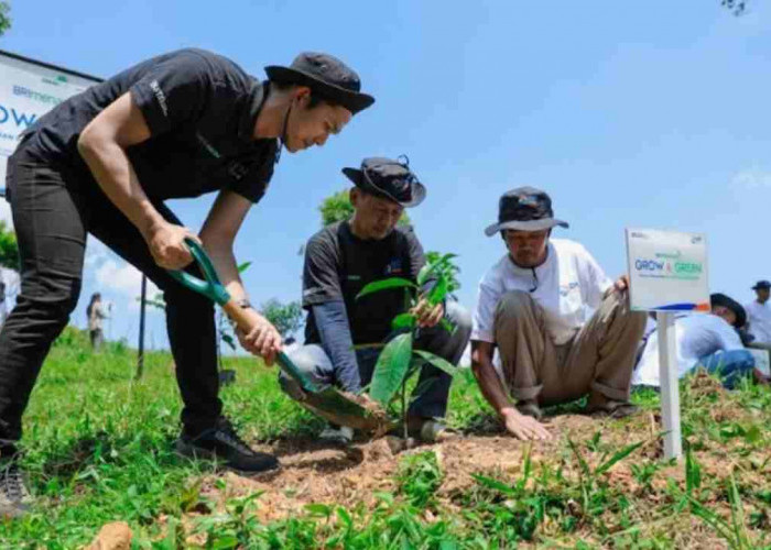 Bersama BRI Menanam-Grow & Green, Ini Aksi Nyata Kelompok Tani Selamatkan Lingkungan