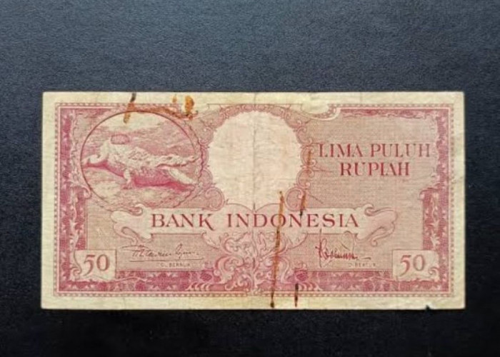 Harganya Bikin Melongo! Inilah Uang Kertas Rp50 Bergambar Buaya, Kamu Punya?