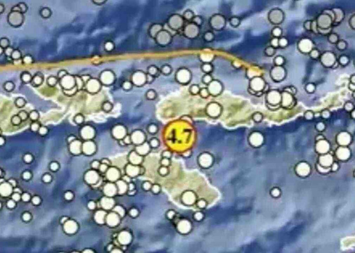 Rentetan Gempa Terjadi Pagi Hari! Borong NTT Diguncang M4,7, Pacitan Berkali-kali Bergetar