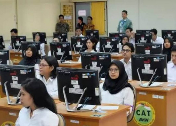 INFO TERBARU: BKN Catat 2,7 Juta Pelamar Daftar CPNS 2024, Ini Instansi Paling Ramai