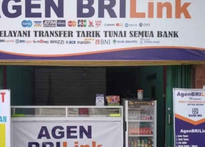 Sasar hingga Desa Sukapulih OKI,  AgenBRILink Diminati Banyak PMI, Ini Alasannya