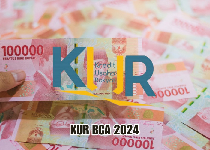 Proses Cepat! Ini Ajukan Pinjaman KUR BCA 2024 Bebas Potong Langsung Cair Tanpa Agunan