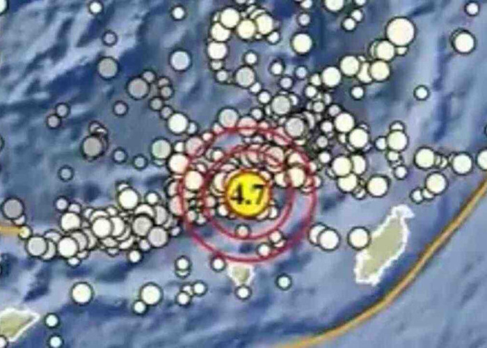 Gempa Magnitudo 4.7 Guncang Maluku Tenggara Barat, Disini Titik Episentrumnya