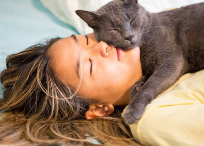 6 Tanda Kucing Menyukai Kamu, Nomor Terakhir Kasta Tertinggi Kebahagiaan