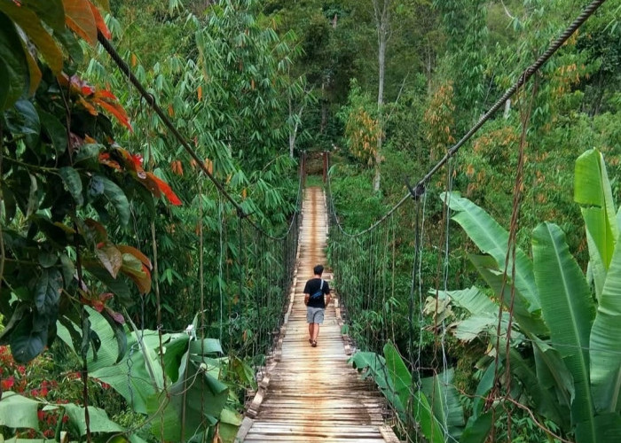 Jembatan Gantung di Desa Pulau Mas Bisa Langsung ke Objek Wisata Curug Sialang, Ini Buktinya?