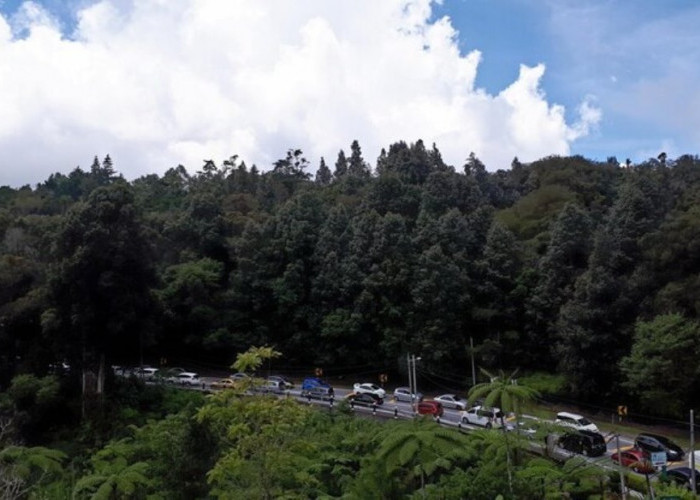 Libur Natal dan Tahun Baru! Inilah Titik Rawan Macet di Kawasan Puncak Bogor