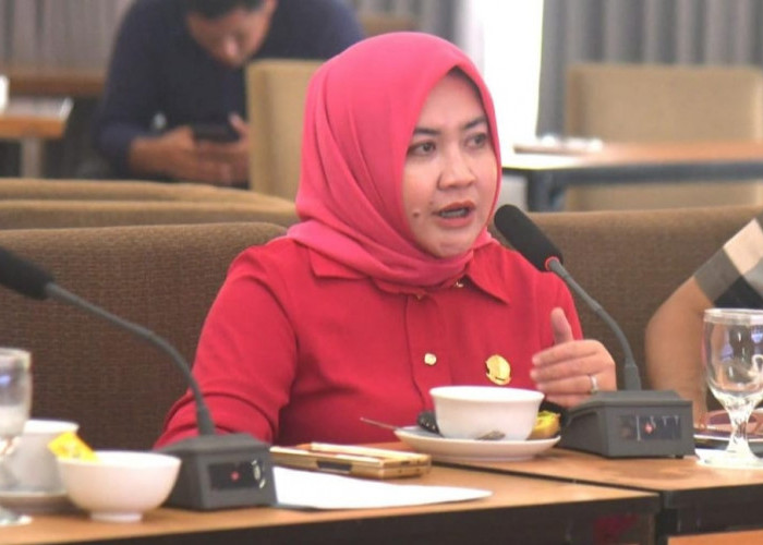 Anggota DPRD Sumsel Elvaria Novianti: Narkoba dan Judol Bisa Jadi Penyebab KDRT  