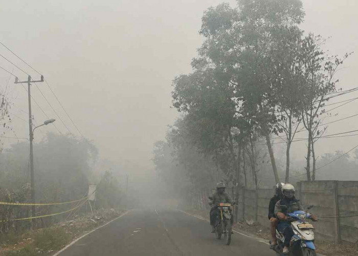 Waspada! Udara Kabur Masih Mengancam Palembang dan Sejumlah Wilayah Sumsel Hari Ini
