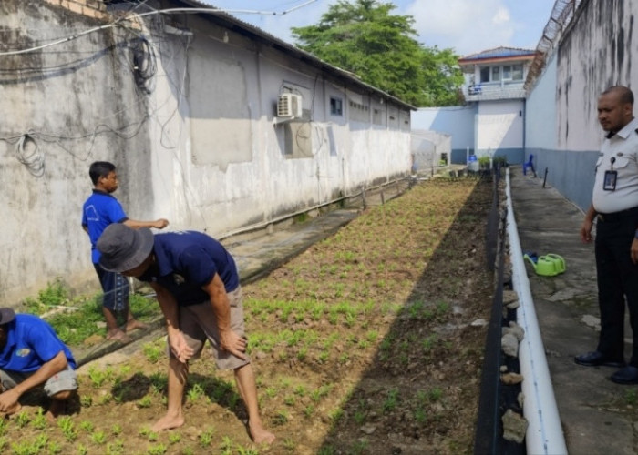 Lapas Sekayu Rawat Tanaman Kangkung untuk Perkuat Ketahanan Pangan