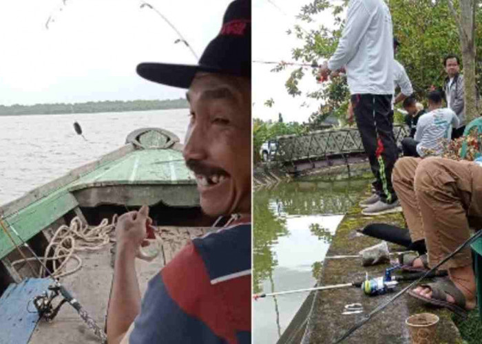 Rahasia Umpan Galatama Lele Paling Ganas! Sekali Lempar, Langsung Disambar