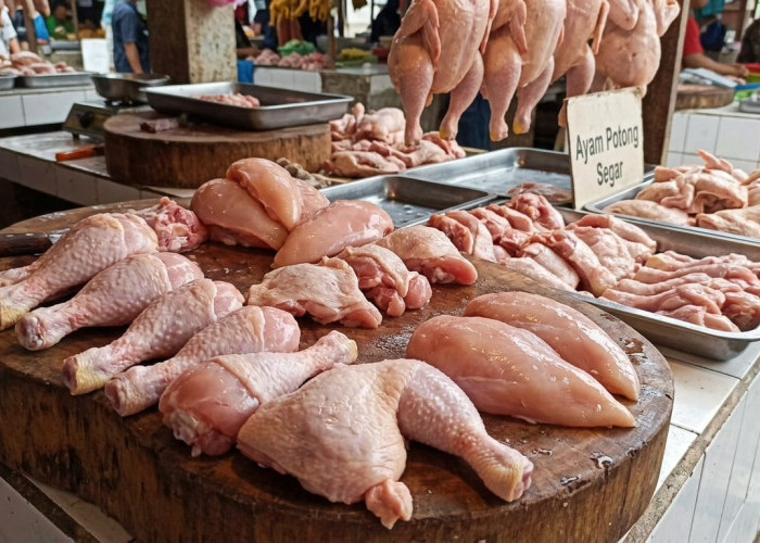 Mulai dari Bentuk Tubuh Ideal hingga Tulang Kuat, Ini Alasan Kenapa Wajib Rutin Konsumsi Daging Ayam