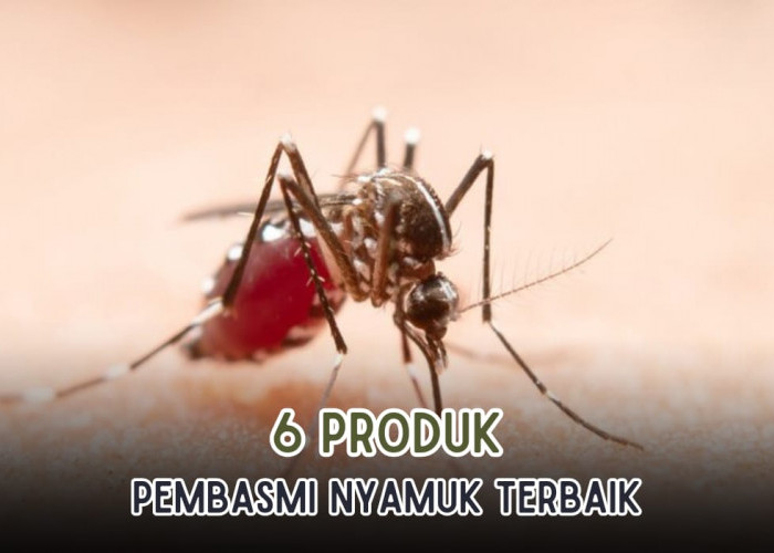 6 Produk Pengusir Nyamuk yang Paling Ampuh, Praktis dan Efisien Cuma Sekali Semprot