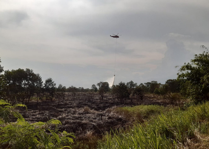 Diduga Pelaku Pembakaran Lahan di Sungai Rambutan Berhasil Diamankan