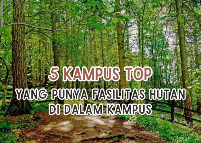 5 Kampus TOP di Indonesia yang Punya Fasilitas Hutan, Deretan PTN QS WUR 2024, Ada Kampusmu?