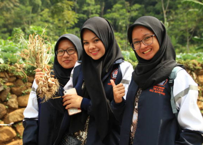 Tidak Semua! Ini 3 Kategori Pegawai SPPG yang Diangkat PPPK