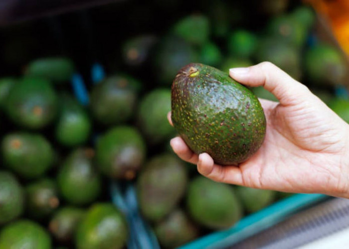 8 Cara Simpan Alpukat Agar Matang Sempurna Dalam Hitungan Hari