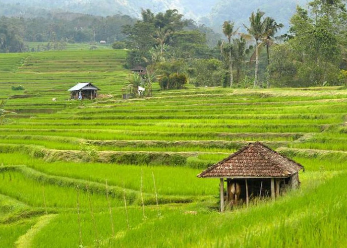 8 Nama Desa Unik di Kabupaten Gresik, Asli Bikin Ngakak, Ada Indro, Dapet, Hingga Tulung