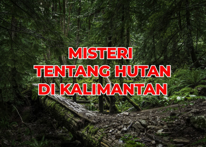 Bikin Bulu Kuduk Merinding! Mulai dari Siluman Hingga Kerajaan Gaib, Itulah 5 Misteri Hutan di Kalimantan