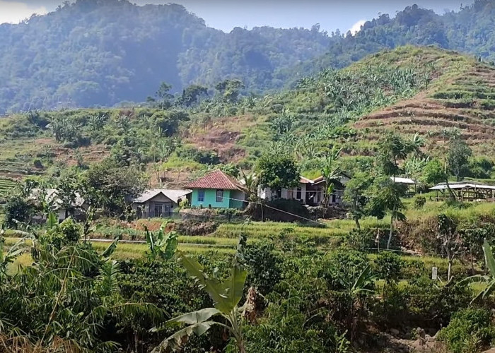 Kampung Terpencil di Kabupaten Bogor, Berada di Bawah Bukit, Hanya Dihuni 6 KK, Akses Masuk Sulit