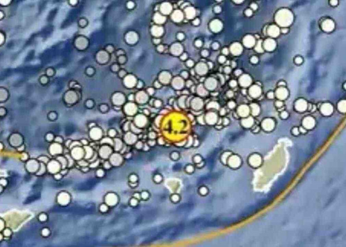 Gempa Magnitudo 4,2 Pagi Ini Guncang Maluku Tenggara Barat, Tak Berpotensi Tsunami