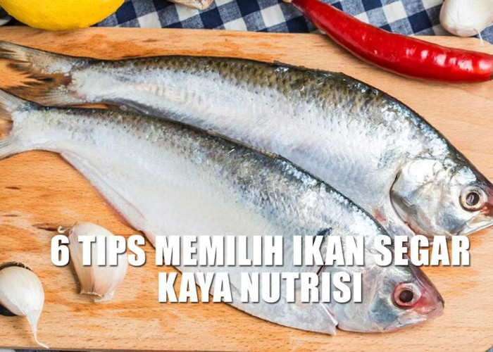 Mak-Mak Wajib Banget Tau! Ini 6 Tips Memilih Ikan Segar Kaya Nutrisi, Harus Teliti ya