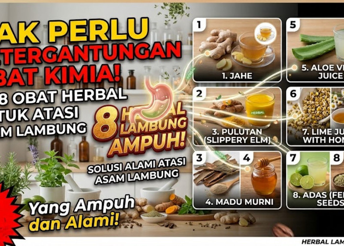 Gak Perlu Ketergantungan Obat Kimia! Ini 8 Obat Herbal untuk Atasi Asam Lambung yang Ampuh dan Alami