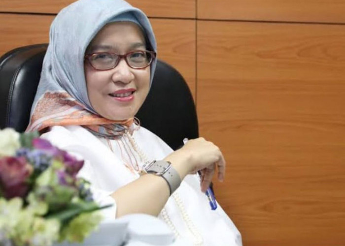 Resmi Gantikan Azwar Anas, Ini 3 Rencana Besar MenPAN RB Rini Widyantini