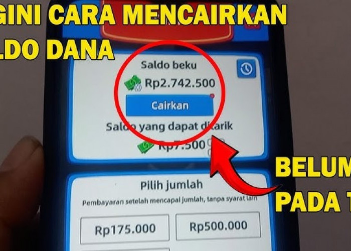 Ngaku Nganggur, Tapi Tiap Minggu Saldo DANA Nambah Rp669.000, Ini Rahasianya!