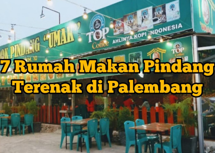7 Rumah Makan Pindang Terenak di Palembang, Ada Pindang Ikan Patin hingga Udang, Segini Harganya 