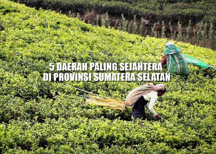 Tempat Berkumpulnya Para Sultan, Ini 5 Daerah Paling Sejahtera di Provinsi Sumatera Selatan