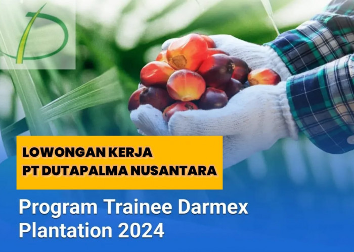 Lowongan Kerja PT Dutapalma Nusantara (Darmex Plantations) melalui Program Trainee Darmex Plantation 2024